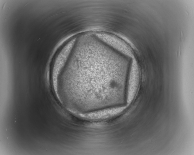 X0000103251078200809181559