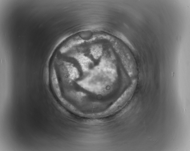 X0000103251079200809181559