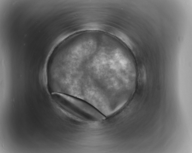 X0000103251080200809181559