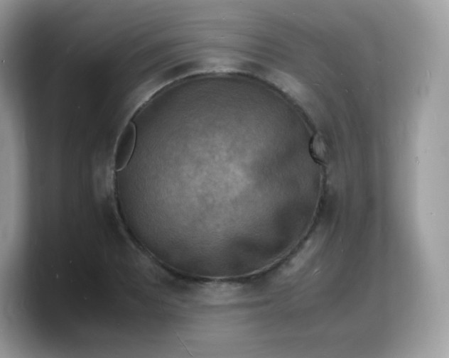 X0000103251081200809181559