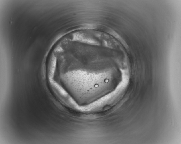 X0000103251083200809181559
