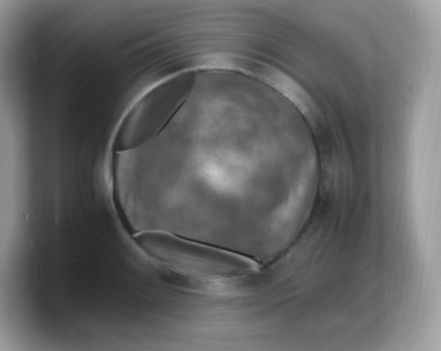 X0000103251084200809181559