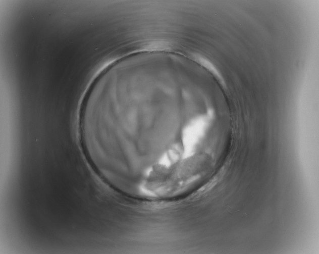 X0000103251087200809181559