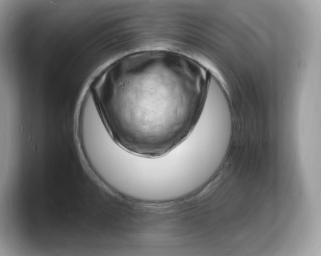 X0000103251088200809181559