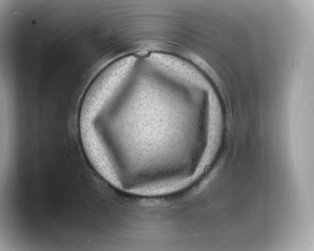 X0000103251089200809181559