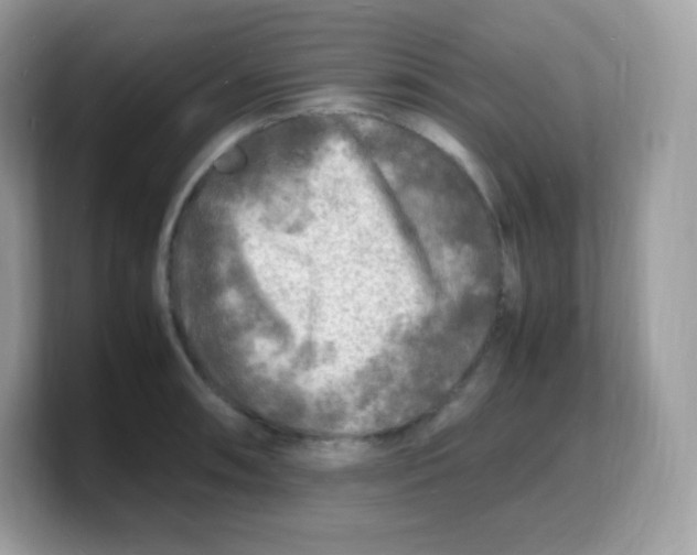 X0000103251090200809181559