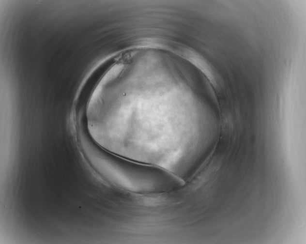X0000103251092200809181559
