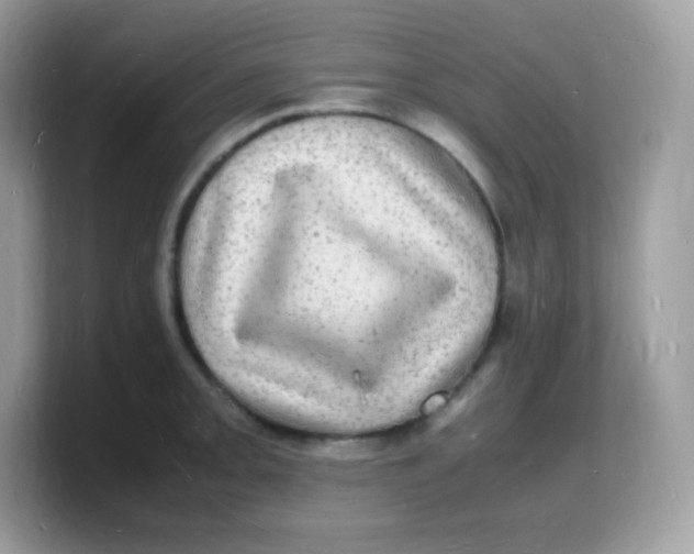 X0000103251093200809181559