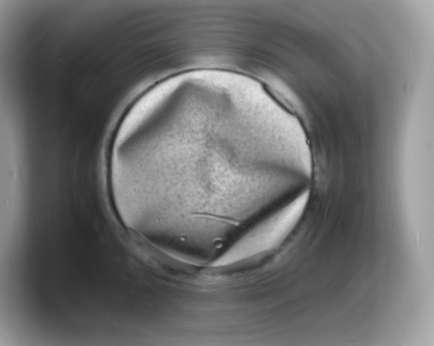 X0000103251096200809181559