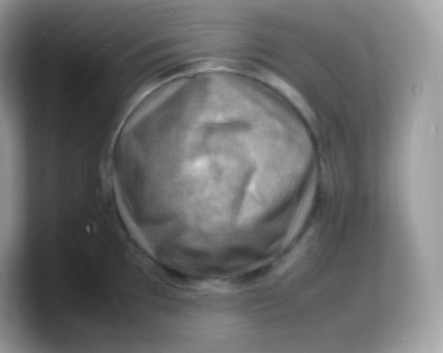 X0000103251097200809181559