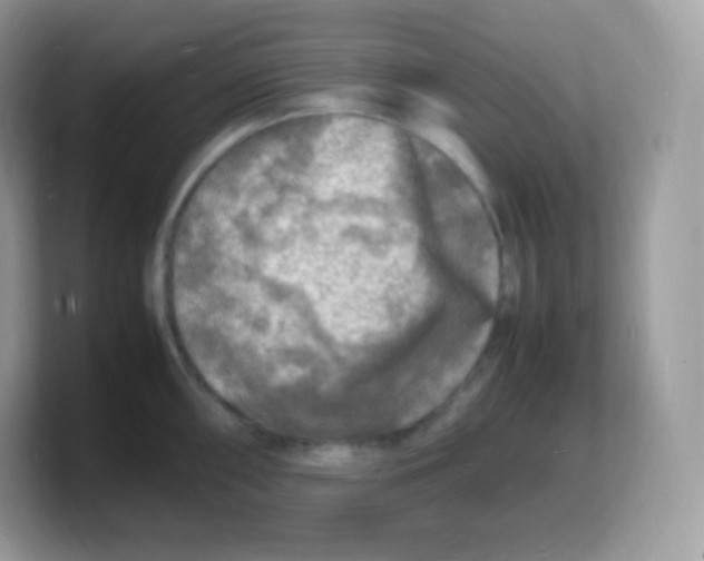 X0000103251098200809181559