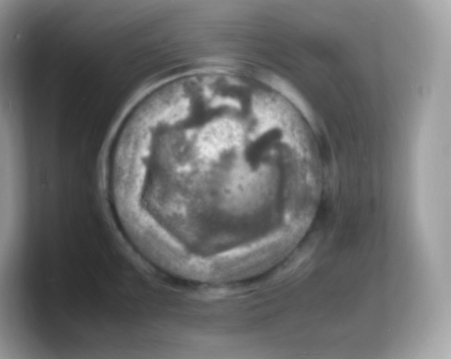 X0000103251099200809181559