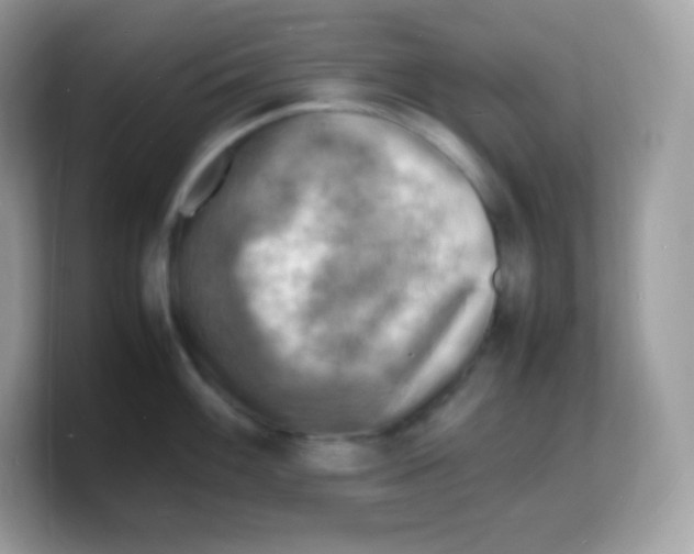 X0000103251100200809181559