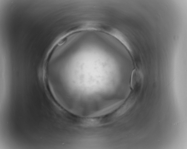 X0000103251101200809181559