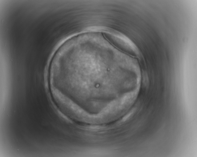 X0000103251102200809181559