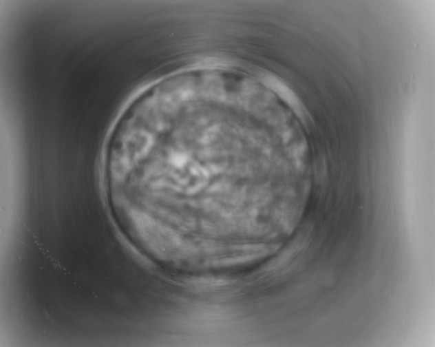 X0000103251103200809181559