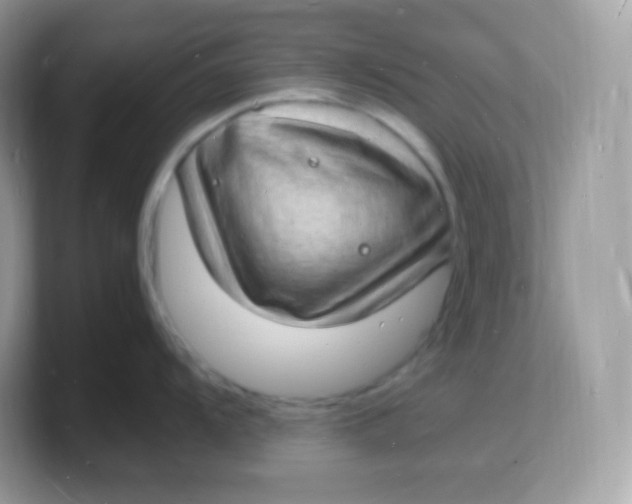 X0000103251104200809181559