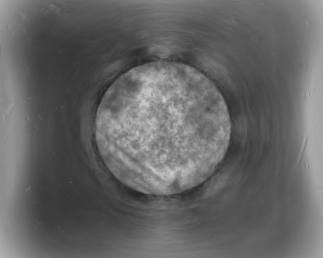 X0000103251105200809181558
