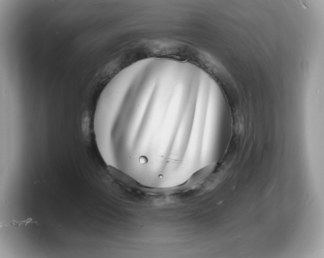 X0000103251108200809181558