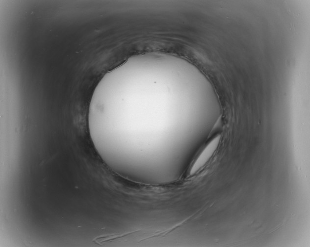 X0000103251109200809181558