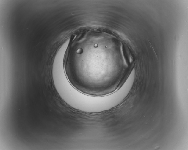 X0000103251110200809181558