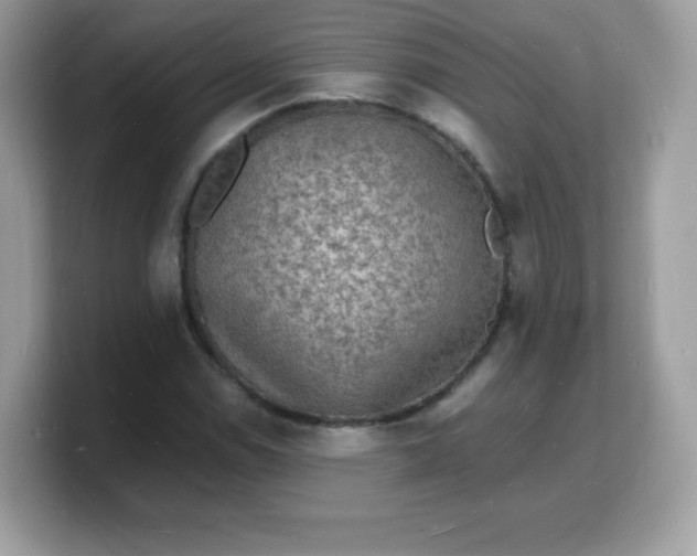 X0000103251114200809181558