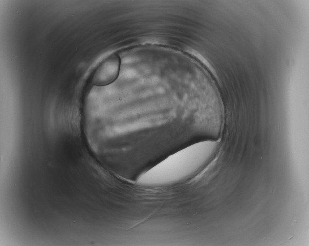 X0000103251115200809181558