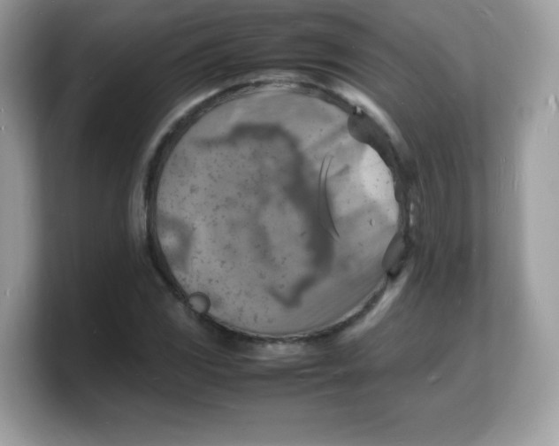 X0000103251117200809181558