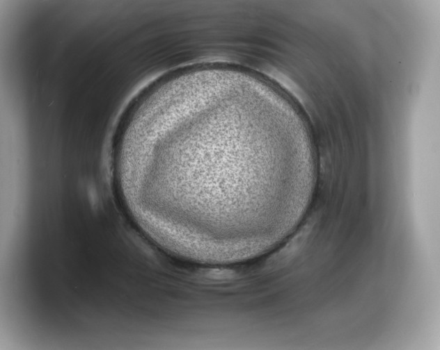 X0000103251119200809181558