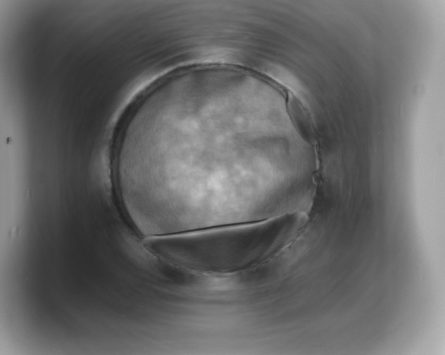 X0000103251120200809181558