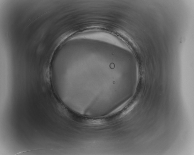 X0000103251121200809181558