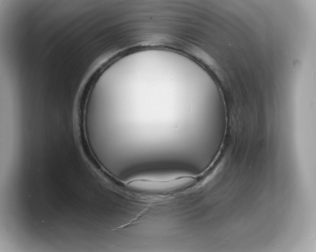 X0000103251122200809181558