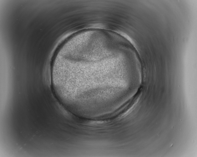 X0000103251123200809181559