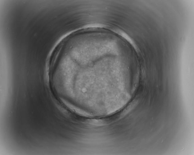X0000103251124200809181559