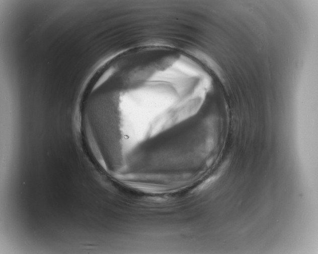 X0000103251125200809181559