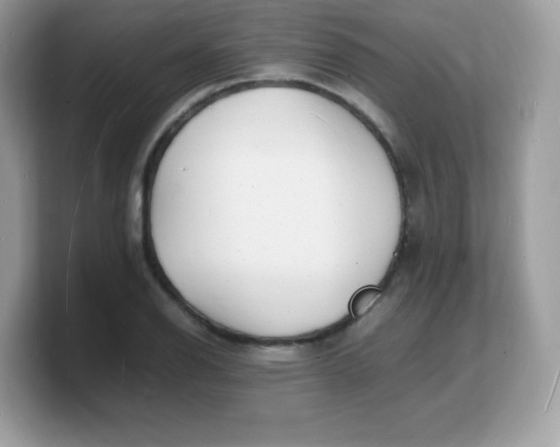 X0000103251126200809181559
