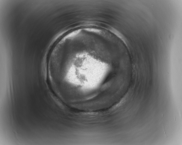 X0000103251127200809181559