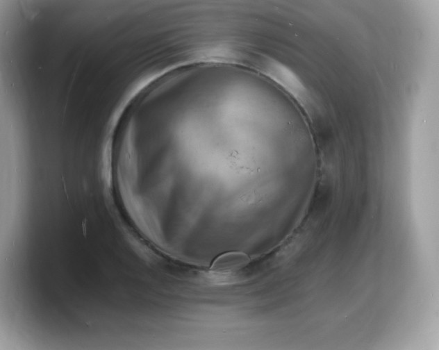 X0000103251128200809181559