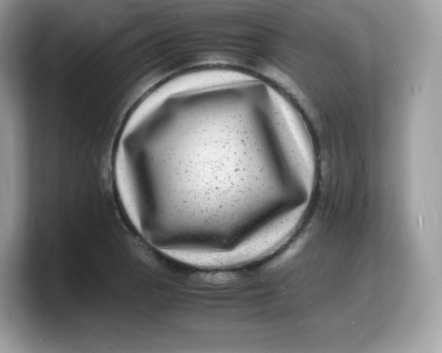 X0000103251129200809181559