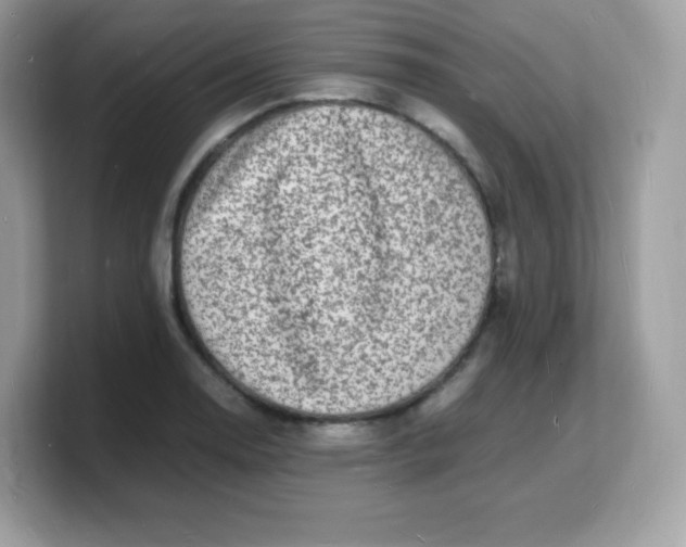 X0000103251130200809181559