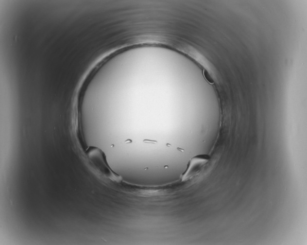 X0000103251132200809181559