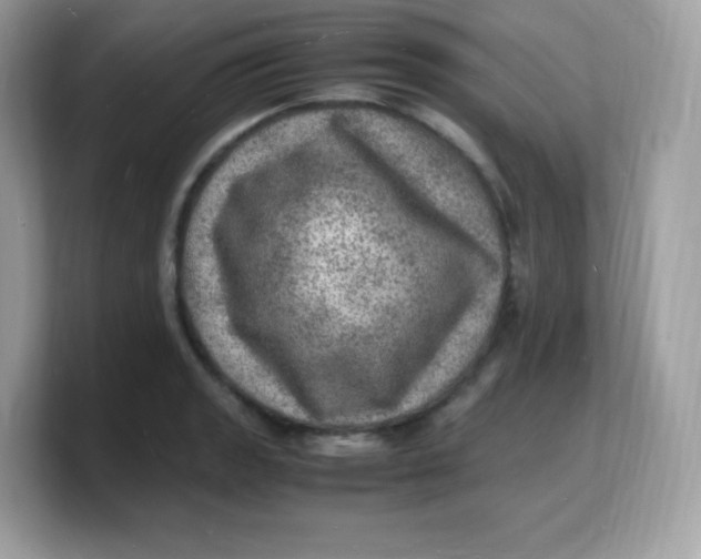 X0000103251133200809181559