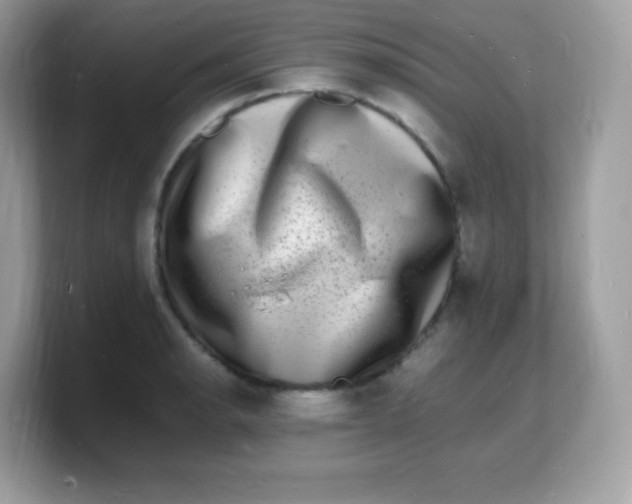 X0000103251134200809181559