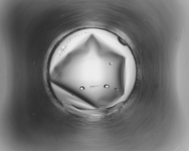 X0000103251136200809181559
