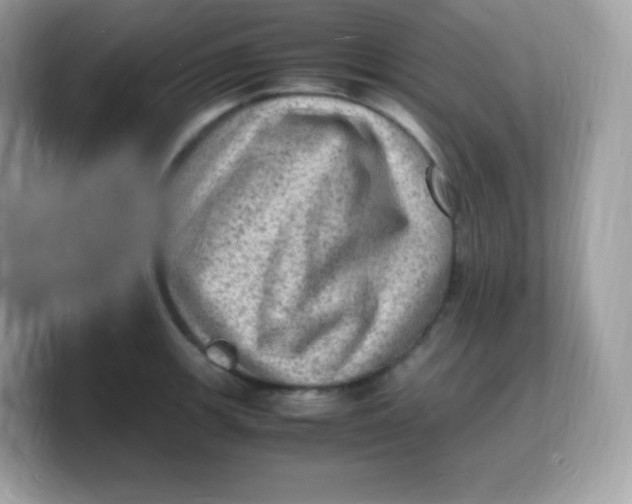 X0000103251139200809181559