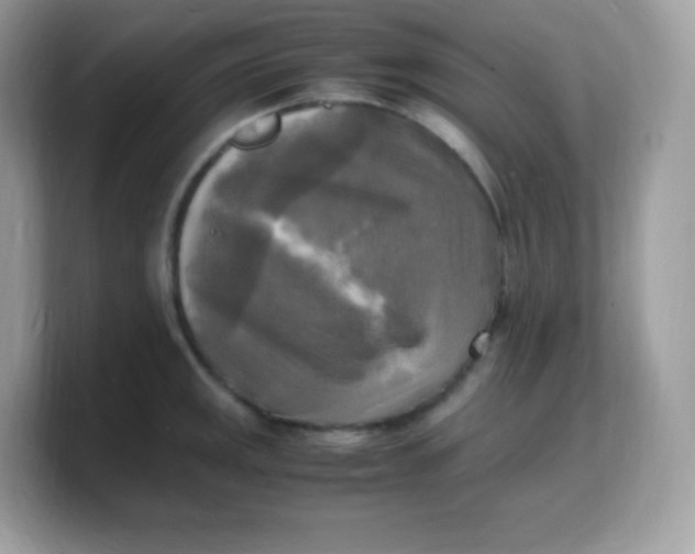 X0000103251141200809181559