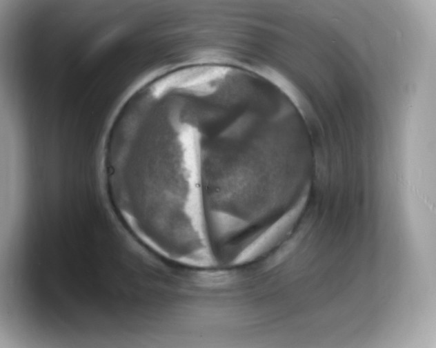 X0000103251142200809181559