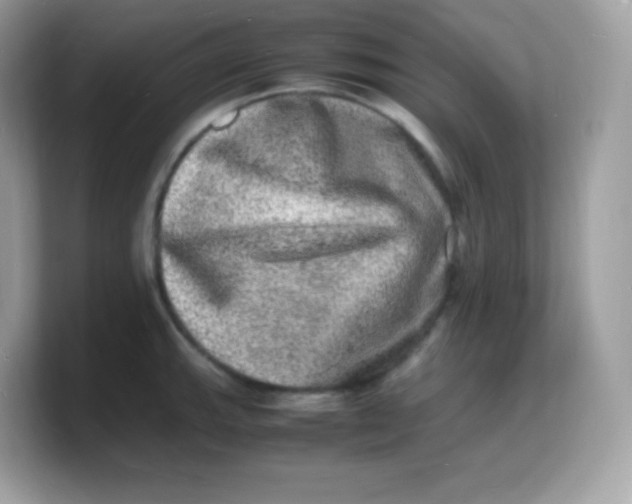 X0000103251143200809181559