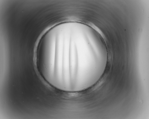 X0000103251144200809181559