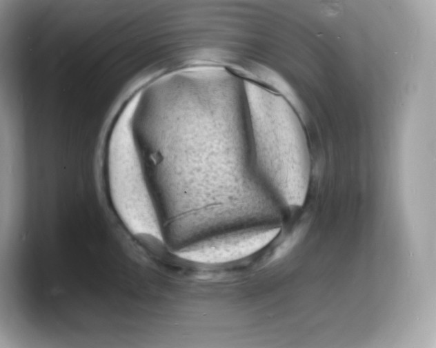 X0000103251146200809181559